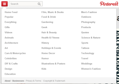 Secțiunea noi categorii Pinterest