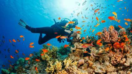 4 rute speciale pentru scufundări subacvatice! cele mai frumoase locuri de scufundări din Turcia