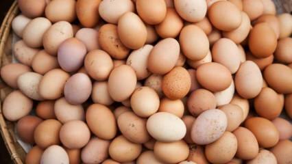 Ce trebuie luat în considerare atunci când alegeți un ou?