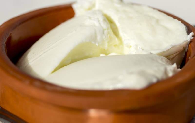 Care sunt beneficiile iaurtului de bivol? Cum se face iaurt de bivoliță și la ce servește?