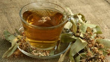 Care sunt avantajele lintei? Pentru ce boli sunt bune? Cum se prepară ceaiul de tei?