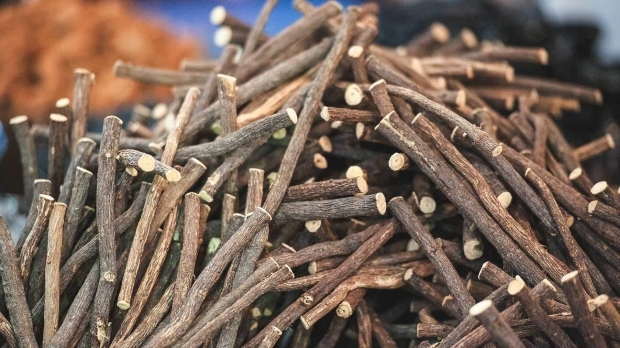 Care sunt avantajele lichiorului? Cum se prepară ceaiul din rădăcină de lichior? Pentru ce este licorici?