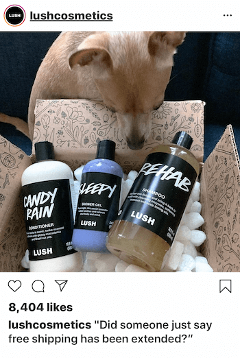 Postare de afaceri Instagram cu câine