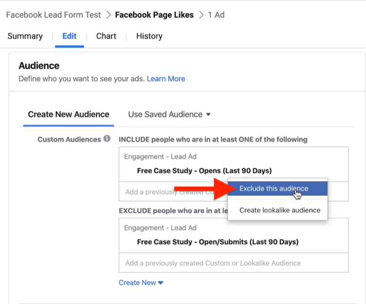 Excludeți această opțiune Audience în secțiunea Audience din configurarea campaniei Facebook