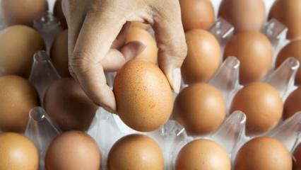 Sfaturi practice pentru păstrarea ouălor proaspete